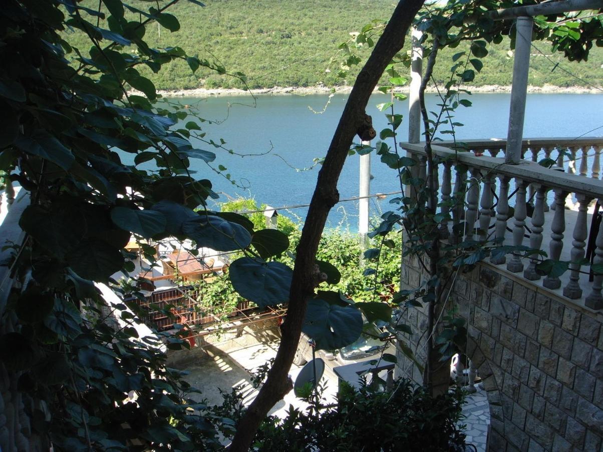 Apartments Grispolis Tivat Exteriör bild